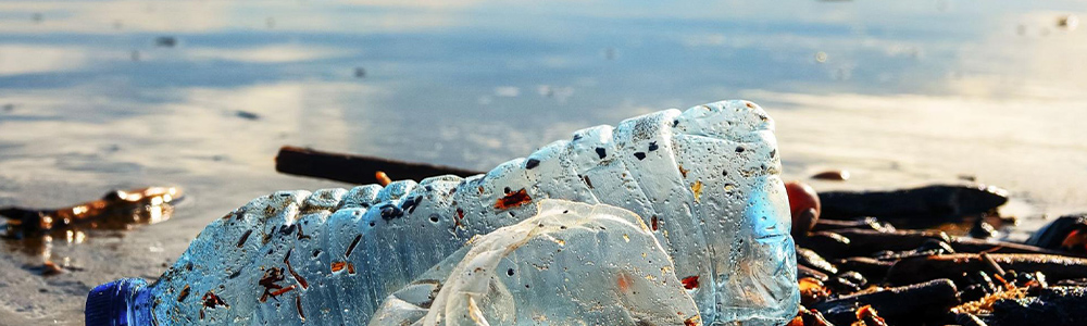 漂着したゴミの写真